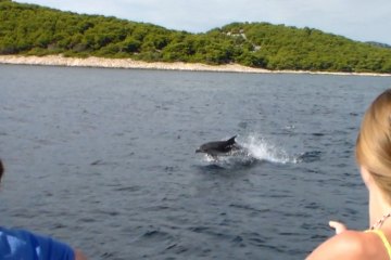 Potraga za delfinima + otok Vrgada, foto 2