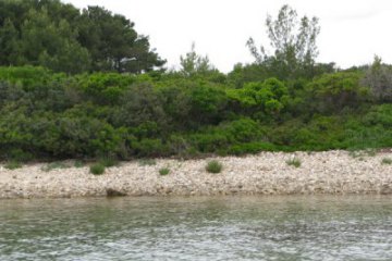 Otok Komornik, foto 3