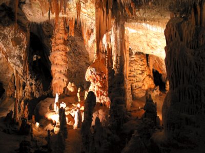 Postojnska jama (Slovenija)