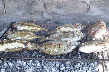 Fish piknik - Vrgada, Hrvatska, Sjeverna Dalmacija